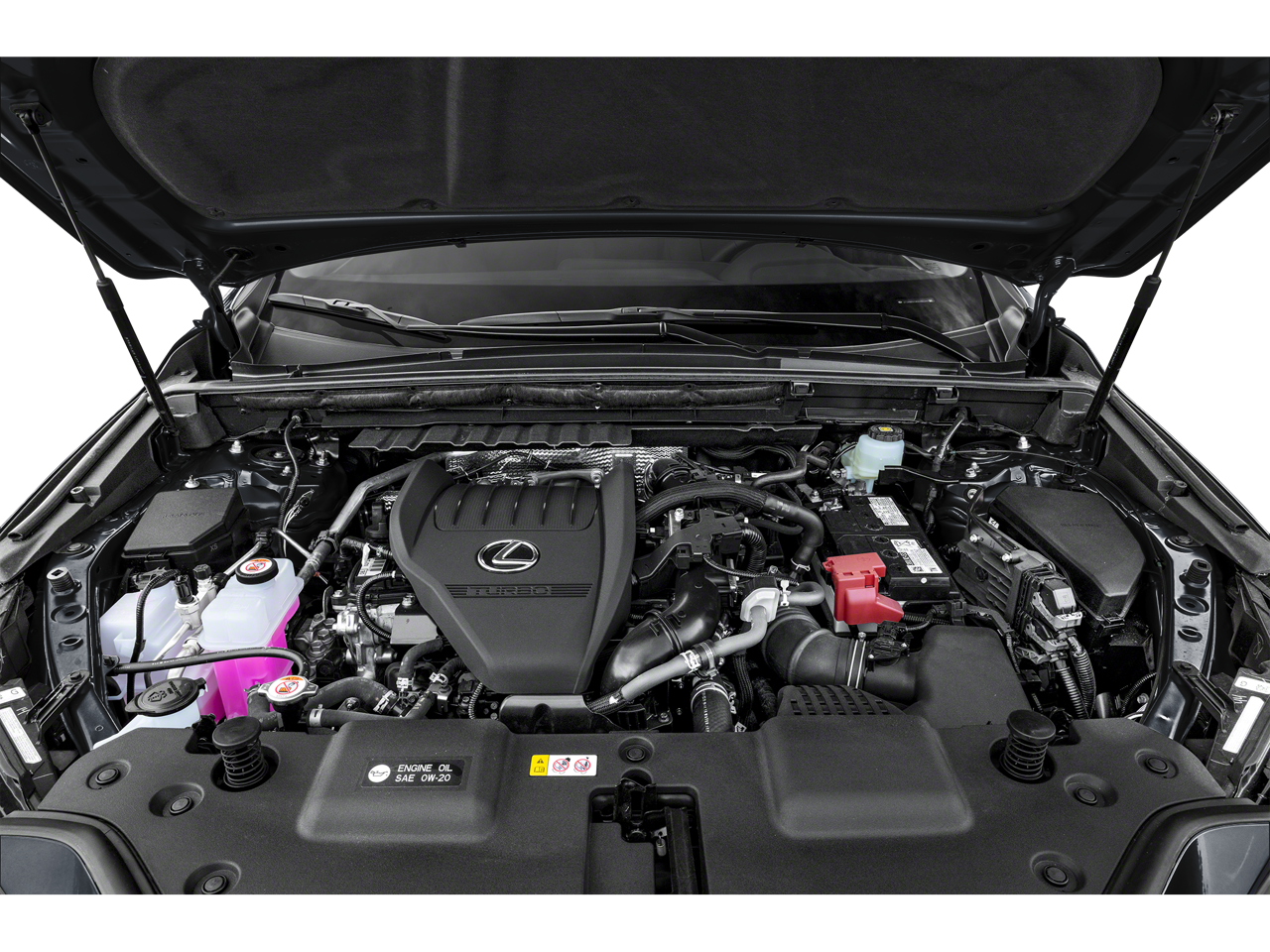 2024 Lexus NX Base