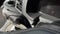 2026 Ford Transit Passenger Wagon 350 XL