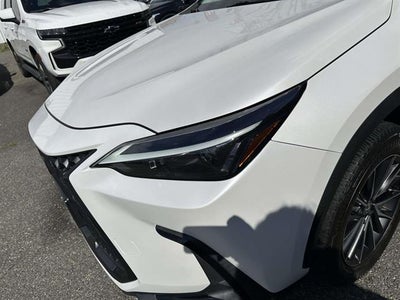 2024 Lexus NX Base