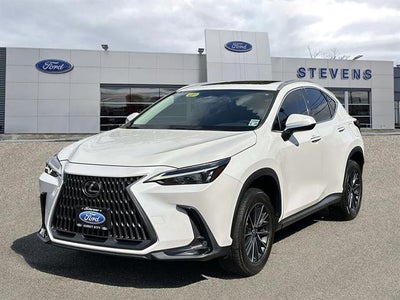 2024 Lexus NX Base