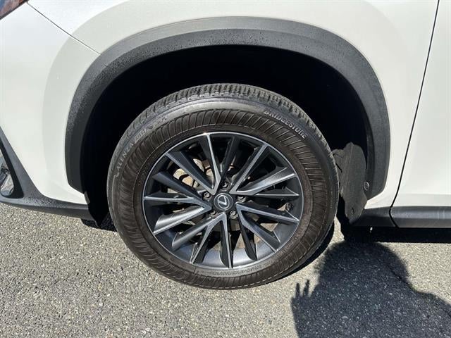 2024 Lexus NX Base