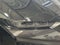 2026 Ford Mustang MUSTANG
