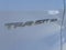 2023 Ford Transit Passenger Wagon 350 XLT
