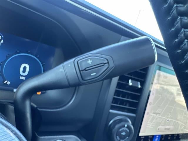 2025 Ford Super Duty F-250 SRW Platinum